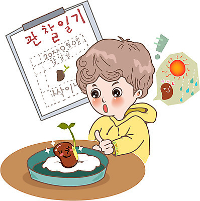 어린이교육 교육 남자 어린이 일러스트 한명 사람 과제 강낭콩 관찰일기 식물키우기 남자만 남자한명만 어린이만 소년만 소년한명만 국내일러스트 AI파일 1 콩 관찰 일기 파일형식 벡터