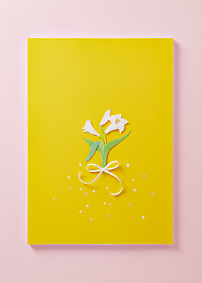 포토 JPG 스튜디오촬영 모양 꽃 종이 컬러 백그라운드 프레임 실내 사람없음 노란색 페이퍼아트 오브젝트 종이공예 국내포토 식물 내부 공예 파일형식