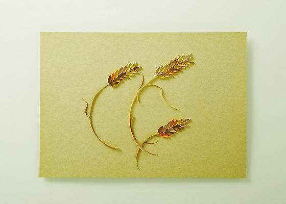 포토 JPG 스튜디오촬영 모양 종이 백그라운드 실내 사람없음 페이퍼아트 오브젝트 종이공예 보리 국내포토 곡류 내부 공예 파일형식