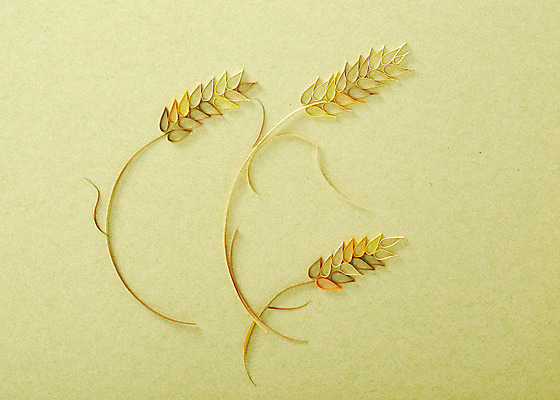 포토 JPG 스튜디오촬영 모양 종이 배경화면 백그라운드 실내 사람없음 페이퍼아트 오브젝트 종이공예 보리 국내포토 곡류 내부 공예 파일형식