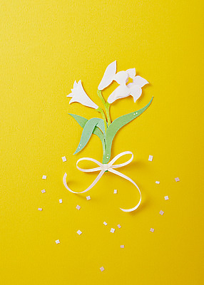포토 JPG 스튜디오촬영 모양 꽃 종이 컬러 백그라운드 실내 사람없음 노란색 페이퍼아트 오브젝트 종이공예 국내포토 식물 내부 공예 파일형식