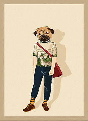 전신 PSD 동물 옷 패션 남자 일러스트 의인화 한명 서기 사람 강아지 불독 특별함 남자만 남자한명만 국내일러스트 1 컨셉 모션 반려동물 개 파일형식
