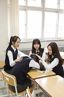 포토 JPG 주간 학생 여학생 여자 교복 엎드리기 교실 학교 청소년 고등학생 함께함 실내 사람 앉기 동양인 여러명 상반신 10대 친구 한국인 위로 여자만 십대만 십대여자만 국내포토 자연요소 옷 교육 다수 컨셉 관계 모션 인종 내부 파일형식