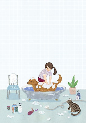 PSD 동물 여자 행복 화분 두마리 의자 일러스트 함께함 한명 사람 반려동물 수건 위생용품 고양이 목욕 거품 욕실 개 샤워기 동물보호 반려 여자만 여자한명만 국내일러스트 1 감정 가구 생활용품 컨셉 2 포유류 청결 사회이슈 파일형식