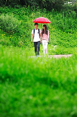 포토 JPG 주간 식물 학생 공원 여학생 여자 남자 남학생 우산 청소년 들기 사람 동양인 야외 두명 앞모습 10대 걷기 산책 한국인 비 십대만 국내포토 자연요소 공공시설 뷰포인트 모션 날씨 휴식 인종 파일형식