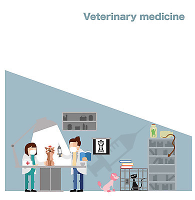 여자 교육 대학생 일러스트 사람 두명 치료 의사 강아지 목표 계획 대학교 열정 동물병원 수의학과 여자만 국내일러스트 AI파일 학생 감정 컨셉 의학 학교 병원 반려동물 의료진 개 파일형식 벡터