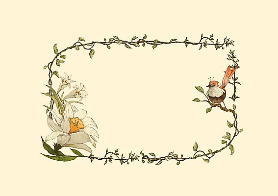 모양 PSD 식물 동물 한마리 꽃 백그라운드 일러스트 조류 프레임 사람없음 사각형 꽃프레임 국내일러스트 도형 1 파일형식