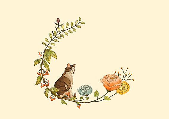 PSD 식물 동물 한마리 꽃 백그라운드 일러스트 프레임 사람없음 고양이 원형 꽃프레임 국내일러스트 도형 1 포유류 반려동물 파일형식