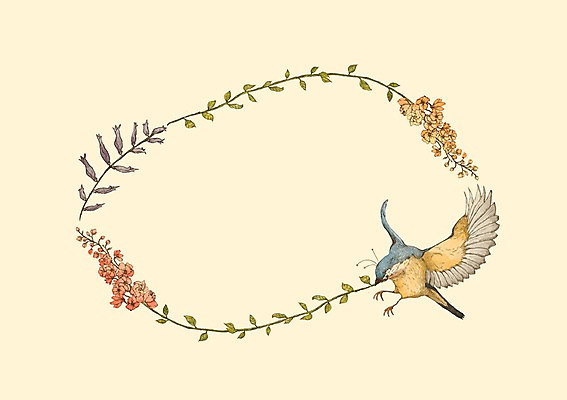 모양 PSD 식물 동물 한마리 꽃 백그라운드 일러스트 조류 프레임 사람없음 원형 꽃프레임 국내일러스트 도형 1 파일형식
