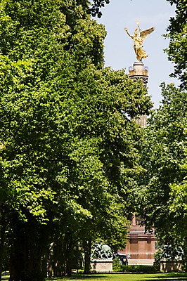 포토 JPG 주간 나무 식물 해외풍경 해외 유럽 유럽풍경 독일 풍경 사람없음 야외 베를린 국내포토 자연요소 나라 파일형식