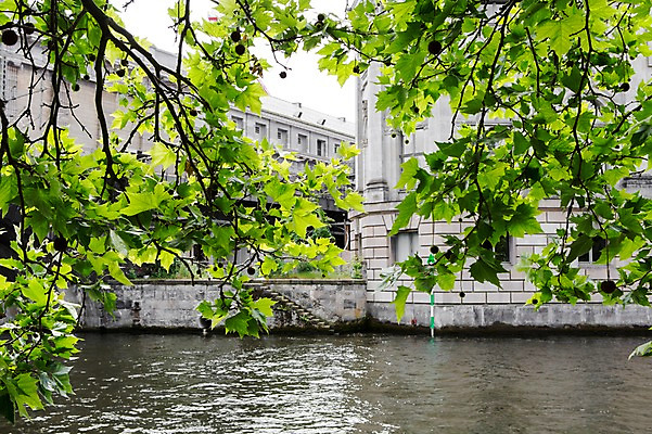 포토 JPG 주간 나무 식물 해외풍경 해외 유럽 배경화면 유럽풍경 나뭇잎 독일 풍경 사람없음 야외 건물 강 베를린 국내포토 자연요소 건축물 나라 잎 파일형식