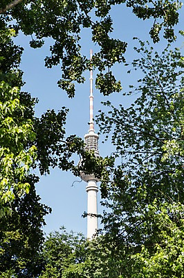 포토 JPG 주간 식물 해외풍경 해외 유럽 유럽풍경 하늘 나뭇잎 독일 풍경 사람없음 야외 베를린 텔레비전타워 국내포토 자연요소 나라 잎 탑 파일형식