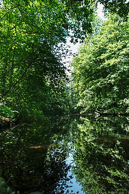 포토 JPG 주간 나무 식물 해외풍경 해외 공원 유럽 호수 유럽풍경 자연 독일 풍경 사람없음 야외 베를린 티어가르텐 국내포토 자연요소 공공시설 나라 생태계 파일형식