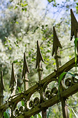 포토 JPG 주간 식물 독일 사람없음 야외 아웃포커스 문 베를린 철문 국내포토 자연요소 유럽 촬영기법 파일형식