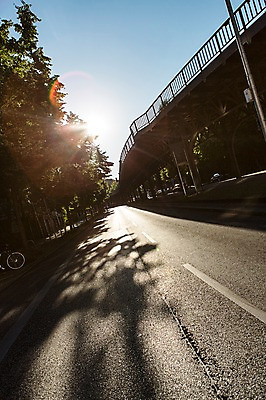 포토 JPG 주간 나무 식물 해외풍경 해외 유럽 도로 길 유럽풍경 독일 풍경 사람없음 야외 햇빛 베를린 가교 국내포토 자연요소 건축물 나라 교통시설 태양 파일형식