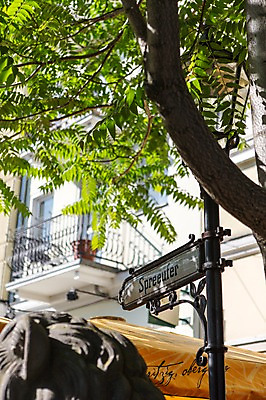 포토 JPG 주간 나무 식물 해외풍경 해외 유럽 유럽풍경 독일 풍경 사람없음 야외 도시 표지판 베를린 국내포토 자연요소 나라 알림판 파일형식