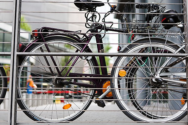 포토 JPG 주간 사람없음 야외 아웃포커스 자전거 국내포토 자연요소 촬영기법 바이크 파일형식