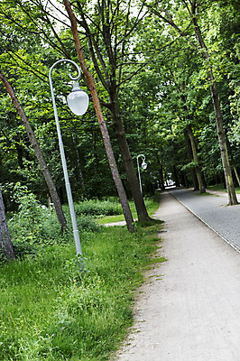 포토 JPG 주간 나무 식물 해외풍경 해외 공원 유럽 길 가로등 유럽풍경 독일 풍경 초원 사람없음 야외 가로수 베를린 티어가르텐 국내포토 자연요소 공공시설 나라 파일형식