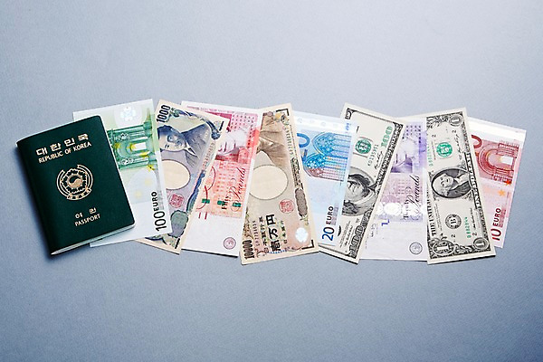 포토 JPG 지폐 돈 비즈니스 종류 사람없음 달러 유로 엔 오브젝트 여권 국내포토 재산 파일형식