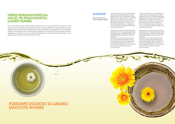 PSD 식물 템플릿 편집 표지디자인 북디자인 꽃 내지 음료 백그라운드 북커버 자동차 팜플렛 사람없음 컵 물 뷰티 차 찻잔 이미지템플릿 자연요소 식기 육상교통 잔 파일형식