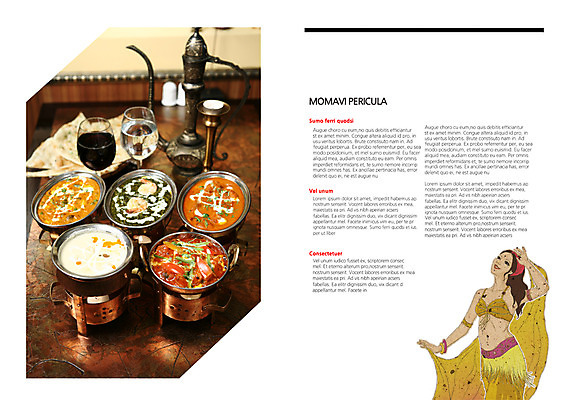 PSD 템플릿 편집 그릇 표지디자인 북디자인 여자 내지 음료 빵 백그라운드 와인잔 북커버 주전자 한명 사람 팜플렛 컵 요식업 댄서 춤 인도인 인도음식 카레 동남아음식 여자만 여자한명만 이미지템플릿 외국인 직업 1 식기 산업 음식 술잔 주방용품 문화예술 동양인 동양음식 파일형식