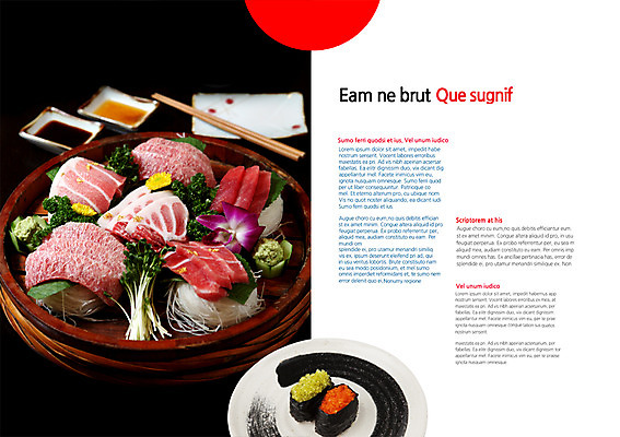 PSD 템플릿 편집 그릇 접시 표지디자인 북디자인 내지 음식 백그라운드 채소 북커버 젓가락 어류 팜플렛 사람없음 장식 요식업 초밥 생선회 회 간장 마끼 일본음식 이미지템플릿 식기 산업 수저 수중동물 양념 파일형식