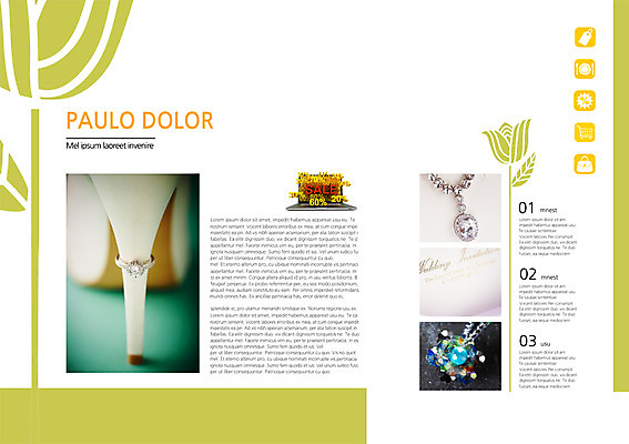 PSD 식물 템플릿 편집 표지디자인 북디자인 꽃 내지 구두 백그라운드 북커버 목걸이 장신구 이벤트 팜플렛 사람없음 노트북 쇼핑 세일 하이힐 보석 이미지템플릿 신발 전자제품 여성화 광석 파일형식