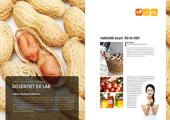 PSD 외국인 템플릿 편집 표지디자인 북디자인 웰빙 여자 내지 백그라운드 토마토 채소 북커버 과일 포도 유리병 감자 들기 사람 동양인 팜플렛 상반신 20대 성인 두명 농작물 바구니 에코 유기농 땅콩 여자만 성인여자만 청년만 청년여자만 성인만 그린슈머 이미지템플릿 농업 모션 병_용기 인종 청년 환경 견과류 파일형식