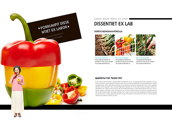 전신 PSD 템플릿 편집 표지디자인 북디자인 손 웰빙 여자 노년 내지 음식 백그라운드 채소 북커버 단면 피망 파프리카 건강 서기 사람 동양인 팜플렛 성인 신체부위 농작물 한국인 60대 유기농 파 열무 노인만 성인만 이미지템플릿 농업 모션 인종 무 파일형식