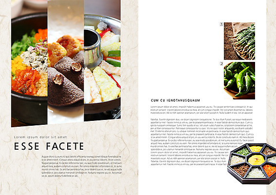 PSD 템플릿 편집 그릇 표지디자인 북디자인 내지 한식 음식 백그라운드 채소 북커버 고추 팜플렛 사람없음 요식업 전통음식 구절판 궁중음식 열무 이미지템플릿 전통 식기 산업 무 파일형식