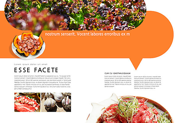 PSD 템플릿 편집 접시 표지디자인 북디자인 내지 한식 음식 백그라운드 말풍선 채소 북커버 호박 마늘 육류 팜플렛 사람없음 요식업 상추 파 이미지템플릿 식기 산업 식재료 파일형식