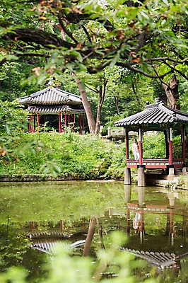 포토 JPG 주간 서양인 외국인 식물 백인 한국문화 여자 전통문화 호수 여유 자연 한명 사람 풍경 20대 야외 즐거움 창덕궁 후원 여자만 여자한명만 성인여자만 청년만 청년여자만 성인한명만 청년여자한명만 성인여자한명만 성인만 국내포토 자연요소 1 동양문화 전통 감정 문화 한국 인종 청년 궁전 도움 생태계 파일형식