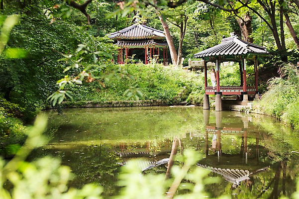 포토 JPG 주간 서양인 외국인 식물 백인 한국문화 여자 전통문화 호수 여유 자연 한명 사람 풍경 20대 야외 즐거움 창덕궁 후원 여자만 여자한명만 성인여자만 청년만 청년여자만 성인한명만 청년여자한명만 성인여자한명만 성인만 국내포토 자연요소 1 동양문화 전통 감정 문화 한국 인종 청년 궁전 도움 생태계 파일형식