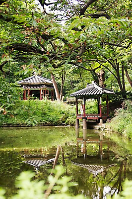 포토 JPG 주간 서양인 외국인 식물 백인 한국문화 여자 전통문화 호수 여유 자연 한명 사람 풍경 20대 야외 즐거움 창덕궁 후원 여자만 여자한명만 성인여자만 청년만 청년여자만 성인한명만 청년여자한명만 성인여자한명만 성인만 국내포토 자연요소 1 동양문화 전통 감정 문화 한국 인종 청년 궁전 도움 생태계 파일형식