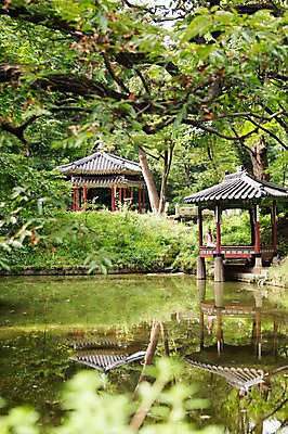 포토 JPG 주간 서양인 외국인 식물 백인 한국문화 여자 전통문화 호수 여유 자연 한명 사람 풍경 20대 야외 즐거움 창덕궁 후원 여자만 여자한명만 성인여자만 청년만 청년여자만 성인한명만 청년여자한명만 성인여자한명만 성인만 국내포토 자연요소 1 동양문화 전통 감정 문화 한국 인종 청년 궁전 도움 생태계 파일형식