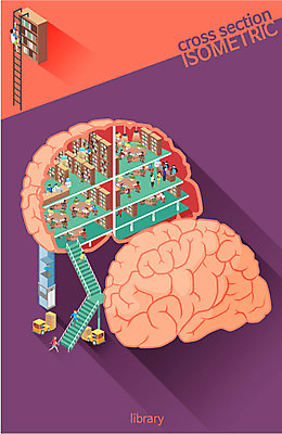 일러스트 사다리 책장 여러명 책 계단 교양 도서관 책상 분석 뇌 단면도 아이소메트릭 크로스섹션 국내일러스트 AI파일 교육 가구 다수 컨셉 단면 사람 도구 파일형식 벡터