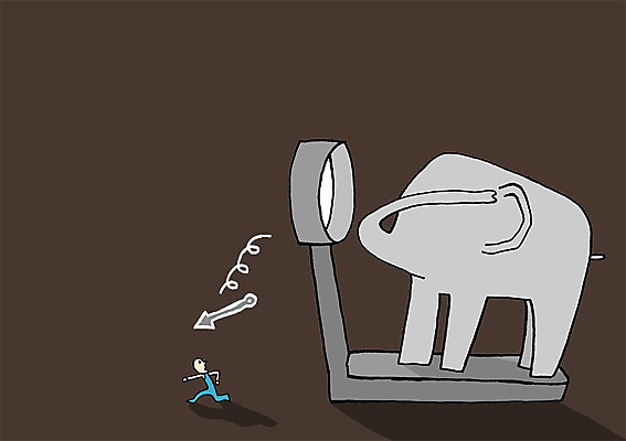 전신 PSD 동물 한마리 화살표 일러스트 상상 코끼리 상상일러스트 그림자 한명 서기 사람 몸무게 고장 체중계 국내일러스트 1 포유류 모션 파일형식