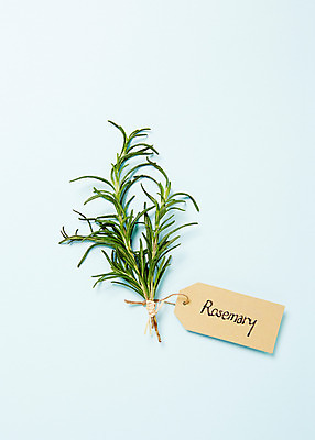 포토 JPG 스튜디오촬영 식물 배경화면 백그라운드 잎 실내 사람없음 라벨 풀 약초 이름표 허브 로즈메리 국내포토 프레임 내부 풀_식물 파일형식