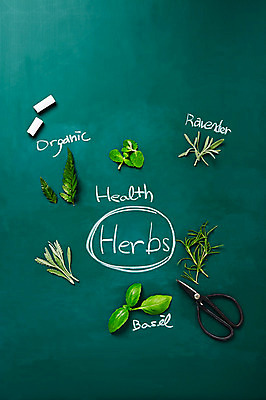 포토 JPG 스튜디오촬영 식물 배경화면 백그라운드 잎 실내 종류 사람없음 칠판 풀 약초 민트 허브 바질 라벤더 로즈메리 타라곤 국내포토 꽃 내부 풀_식물 파일형식