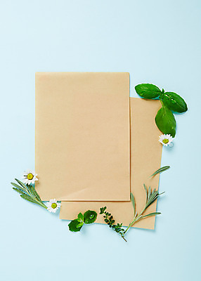 포토 JPG 스튜디오촬영 식물 종이 배경화면 백그라운드 잎 프레임 실내 종류 사람없음 시간 풀 약초 편지 민트 허브 바질 국내포토 내부 풀_식물 파일형식