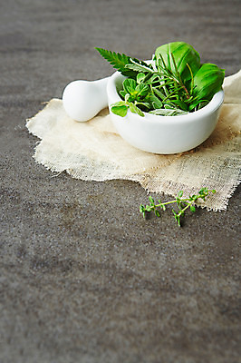 포토 JPG 스튜디오촬영 식물 백그라운드 잎 실내 종류 사람없음 풀 사발 약초 허브 거즈 국내포토 내부 풀_식물 사기그릇 파일형식