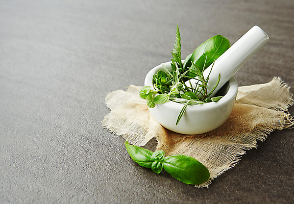 포토 JPG 스튜디오촬영 식물 백그라운드 잎 실내 종류 사람없음 풀 사발 약초 허브 거즈 국내포토 내부 풀_식물 사기그릇 파일형식