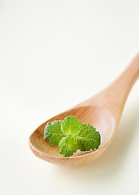 포토 JPG 스튜디오촬영 식물 백그라운드 잎 실내 근접촬영 사람없음 아웃포커스 숟가락 풀 약초 민트 허브 국내포토 뷰포인트 촬영기법 수저 내부 풀_식물 파일형식