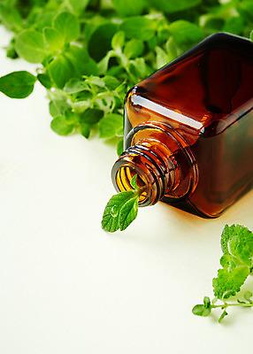 포토 JPG 스튜디오촬영 식물 백그라운드 잎 유리병 실내 사람없음 아웃포커스 풀 약초 민트 허브 오레가노 국내포토 병_용기 촬영기법 내부 풀_식물 파일형식