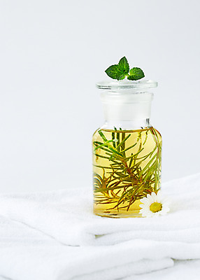 포토 JPG 스튜디오촬영 식물 백그라운드 잎 유리병 실내 종류 사람없음 풀 약초 오일 민트 허브 로즈메리 국내포토 음식 병_용기 내부 화장품 풀_식물 파일형식