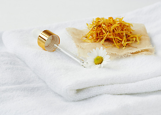 포토 JPG 스튜디오촬영 식물 꽃잎 백그라운드 잎 실내 사람없음 수건 풀 약초 스포이트 허브 국내포토 꽃 내부 위생용품 풀_식물 피펫 파일형식