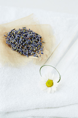 포토 JPG 스튜디오촬영 식물 꽃잎 백그라운드 잎 실내 사람없음 수건 풀 약초 허브 라벤더 국내포토 꽃 내부 위생용품 풀_식물 파일형식