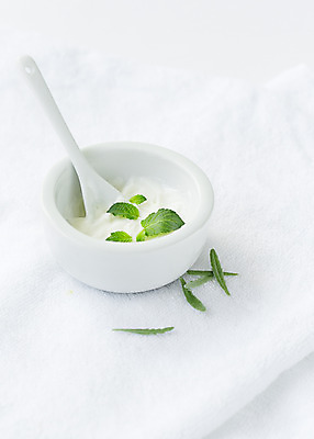 포토 JPG 스튜디오촬영 식물 백그라운드 잎 실내 사람없음 풀 사발 약초 민트 허브 크림 라벤더 국내포토 꽃 내부 풀_식물 사기그릇 파일형식