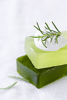 포토 JPG 스튜디오촬영 식물 백그라운드 잎 실내 근접촬영 사람없음 거품 풀 약초 허브 비누 로즈메리 국내포토 뷰포인트 내부 위생용품 풀_식물 파일형식