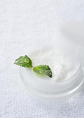 포토 JPG 스튜디오촬영 식물 백그라운드 잎 실내 근접촬영 사람없음 용기 풀 약초 민트 허브 크림 국내포토 그릇 뷰포인트 내부 풀_식물 파일형식